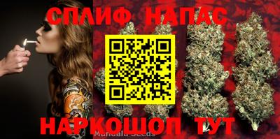 трава Будённовск